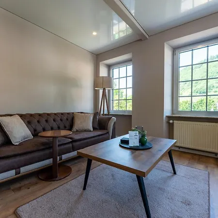 Moselresidenz Bellevue Alfbach * 알프